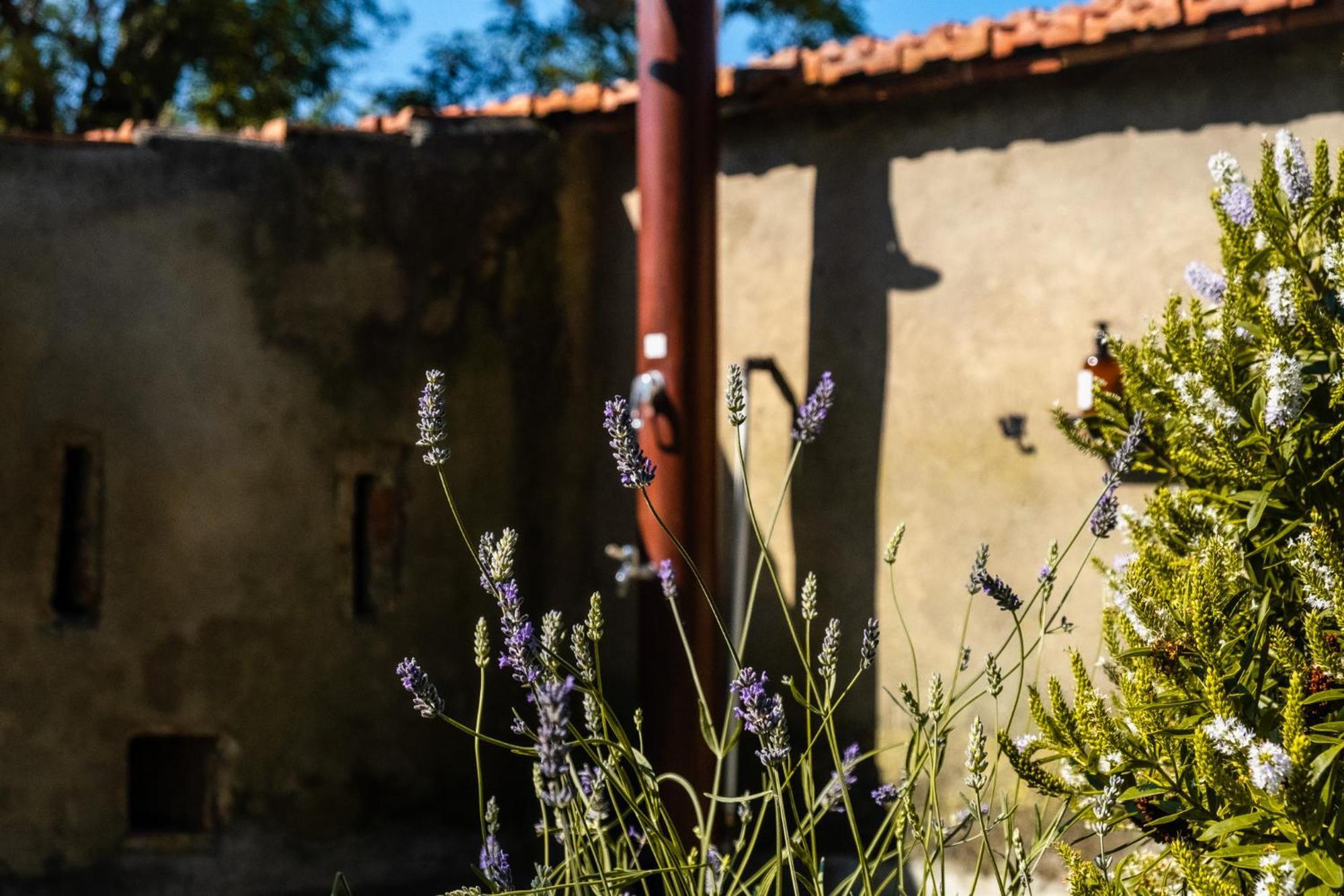 Hébergement de vacances Casenuove Iii - Casale Con Giardino E Piscina